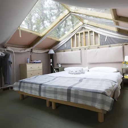 Club Del Sole Romagna Family Parque de vacaciones 4*