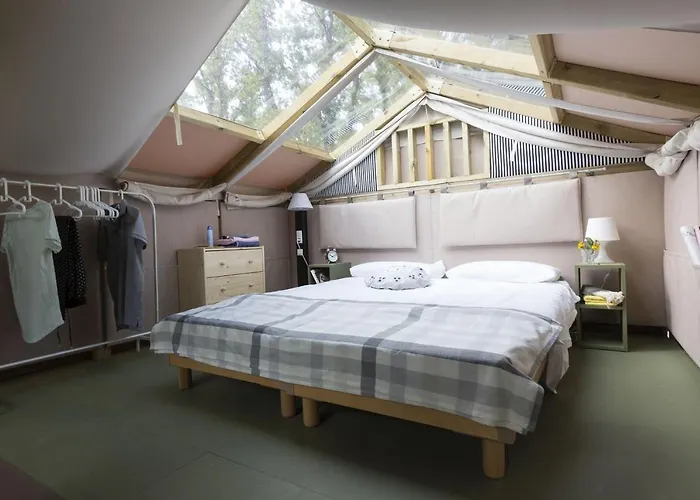 Club Del Sole Romagna Family Vakantiepark 4*